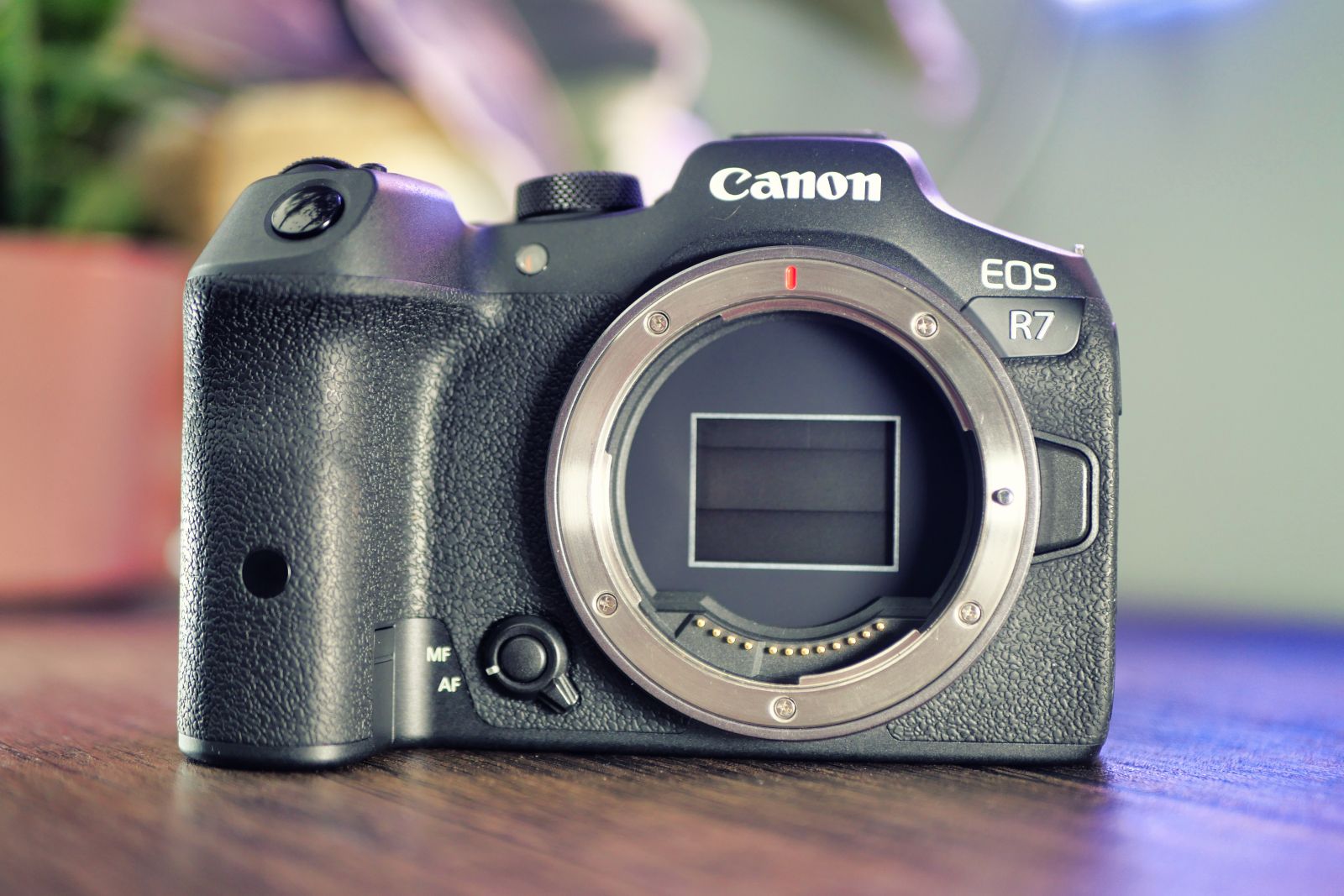 Đánh giá Canon R7 ảnh 9